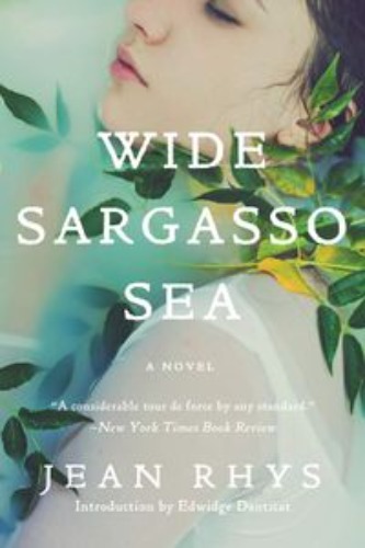 Wide Sargasso Sea / 9780393352566