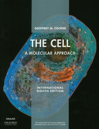 The Cell : A molecular approach, 8 edition  (외국도서)  (번역본 있음 : 세포학: 분자적 접근 8판) / 9781605358635 - 절판